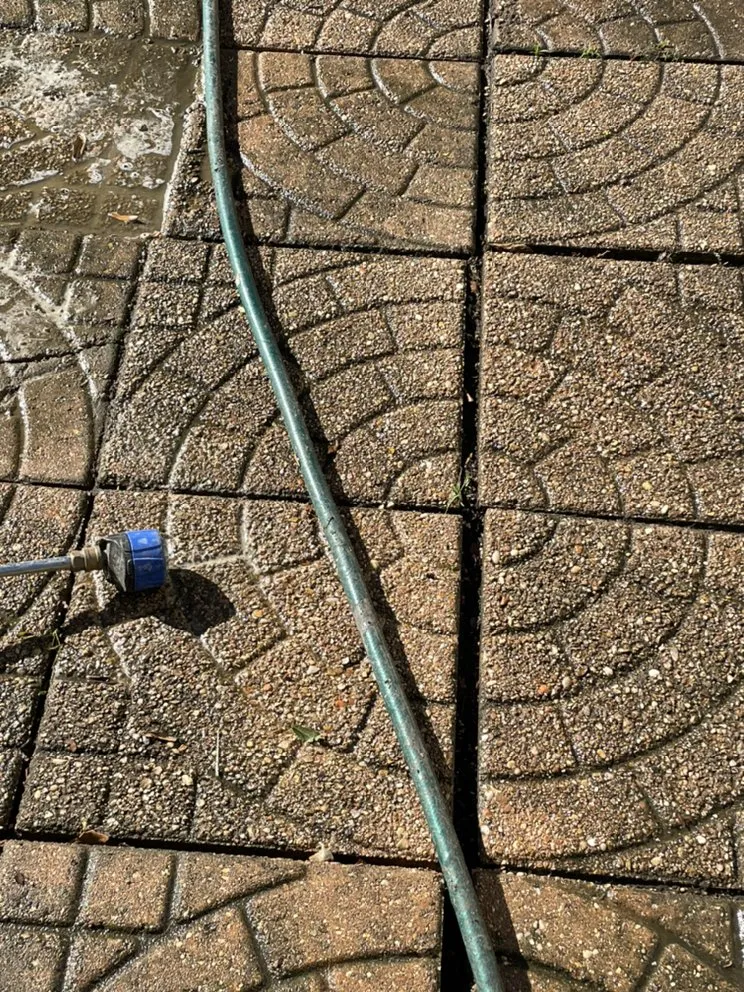 Affordable outdoor landscaping experts serving Baton Rouge, LA - Bleu Bush Landscaping