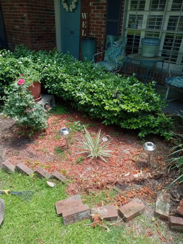 Custom lawn mowing service for outdoor upgrades across Baton Rouge, LA - Bleu Bush Landscaping