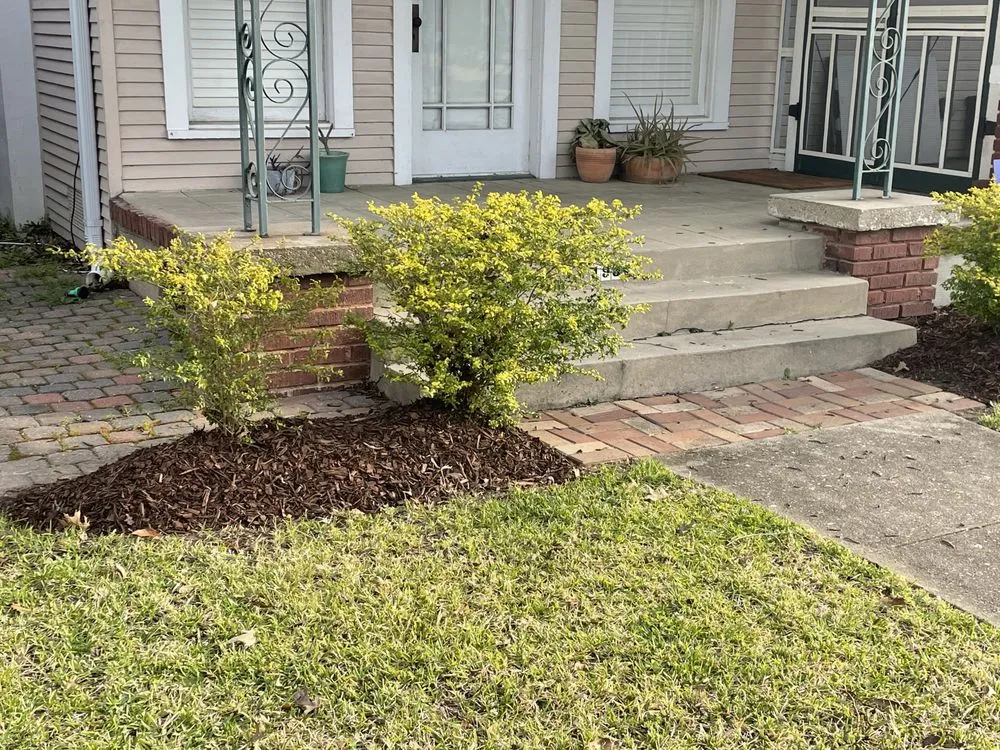 Top-rated outdoor landscaping for year-round maintenance in Baton Rouge, LA by Bleu Bush Landscaping
