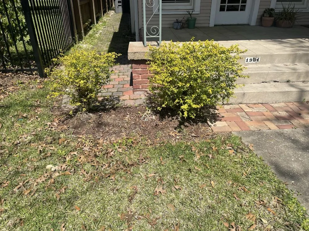 Trusted residential landscaping experts serving Baton Rouge, LA - Bleu Bush Landscaping