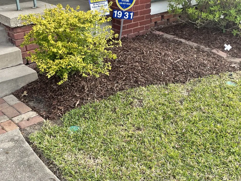 Trusted landscape installation for residential properties across Baton Rouge, LA - Bleu Bush Landscaping