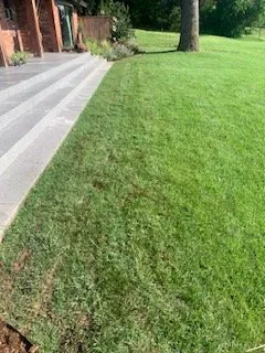 Trusted yard maintenance experts serving Edmond, OK - Blevins Irrigation