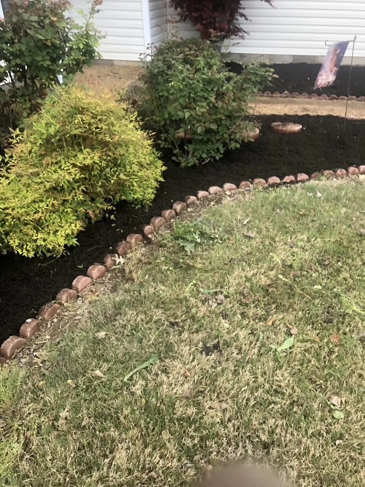 Top-rated yard maintenance in Jackson, TN by Blevins Lawn and Landscaping