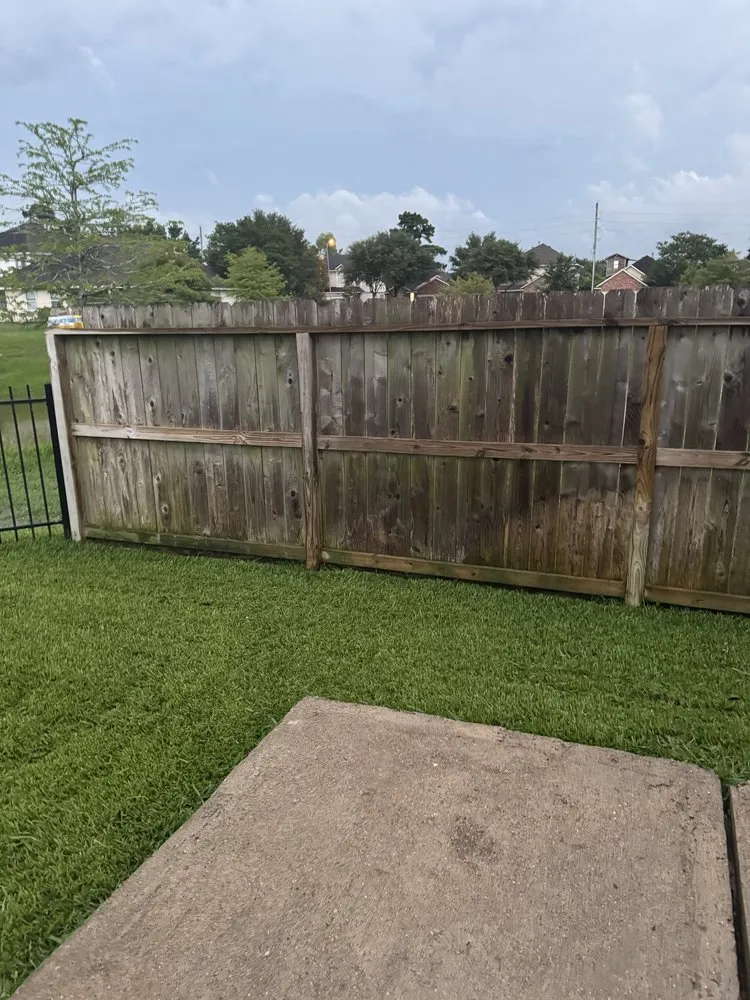 Expert lawn care service for beautiful yards in Tomball, TX by Blewz Pressure Washing And Landscape Specialists