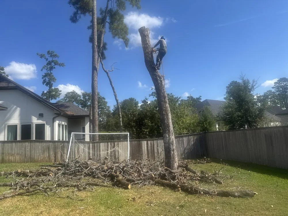 Custom garden landscaping near you across Tomball, TX - Blewz Pressure Washing And Landscape Specialists