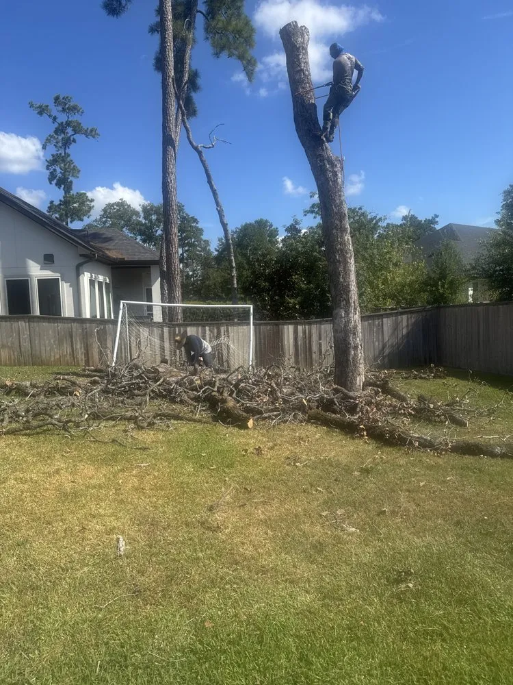 Custom landscaping services experts serving Tomball, TX - Blewz Pressure Washing And Landscape Specialists