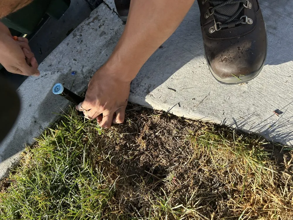 Professional garden landscaping experts serving Springville, UT - Bligg Services