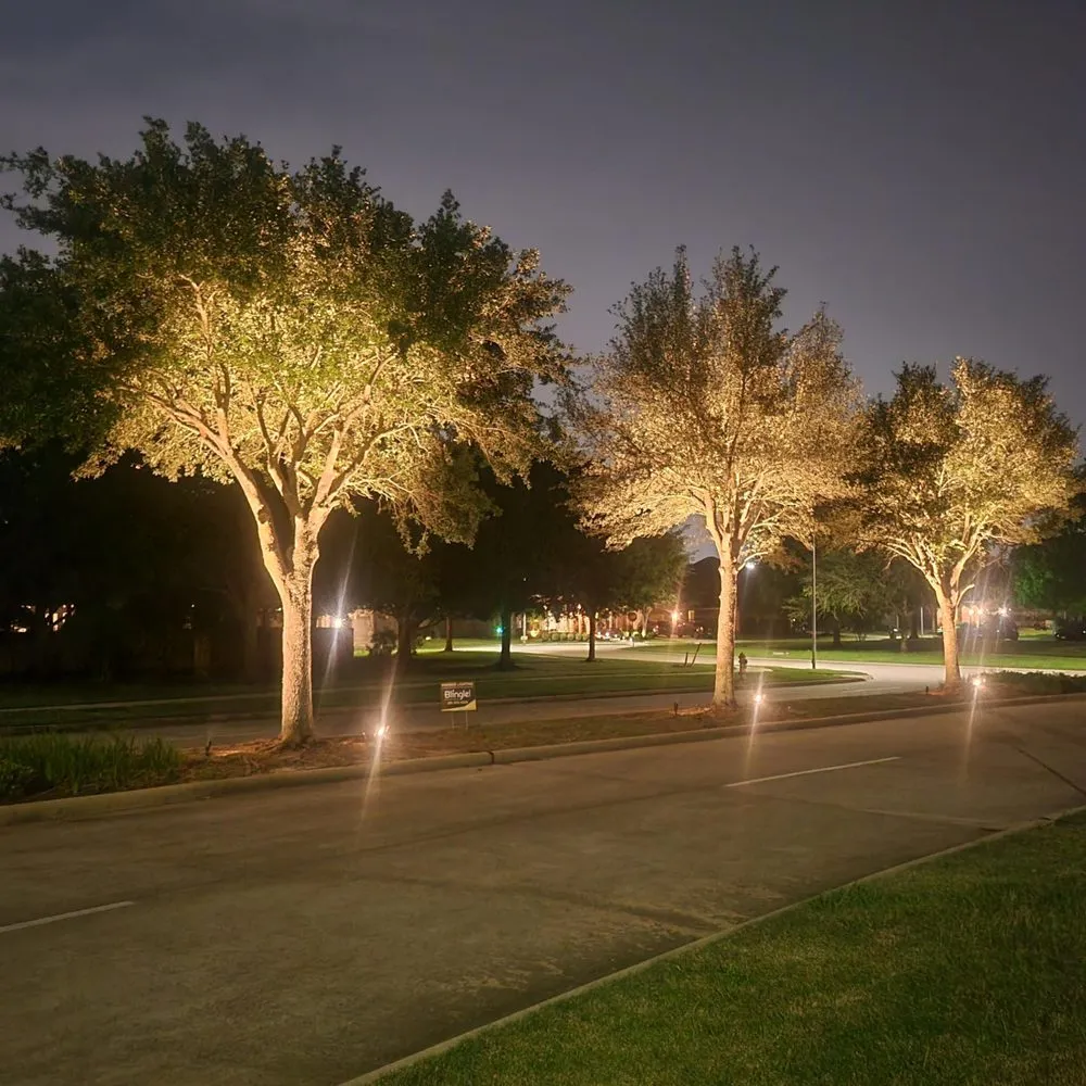 Expert outdoor landscaping experts serving Rosenberg, TX - Blingle Premier Lighting of Greater Sugar Land