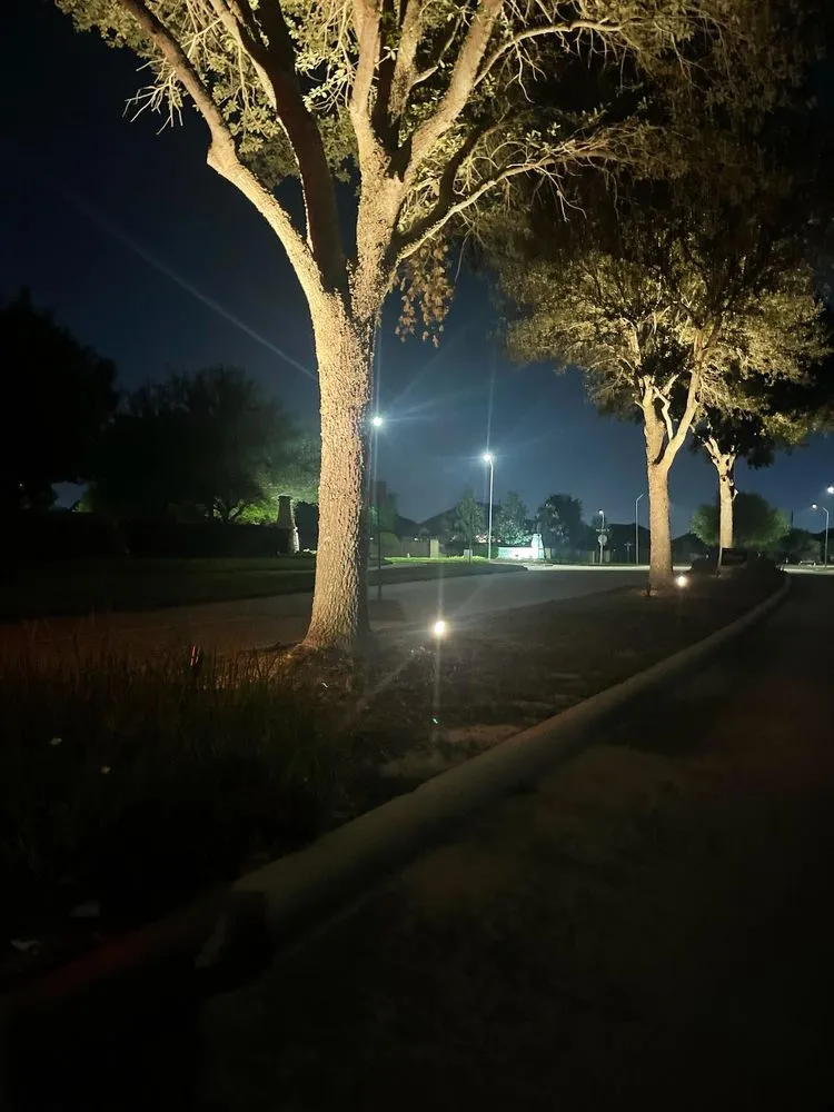 Local lawn mowing service in Rosenberg, TX - Blingle Premier Lighting of Greater Sugar Land