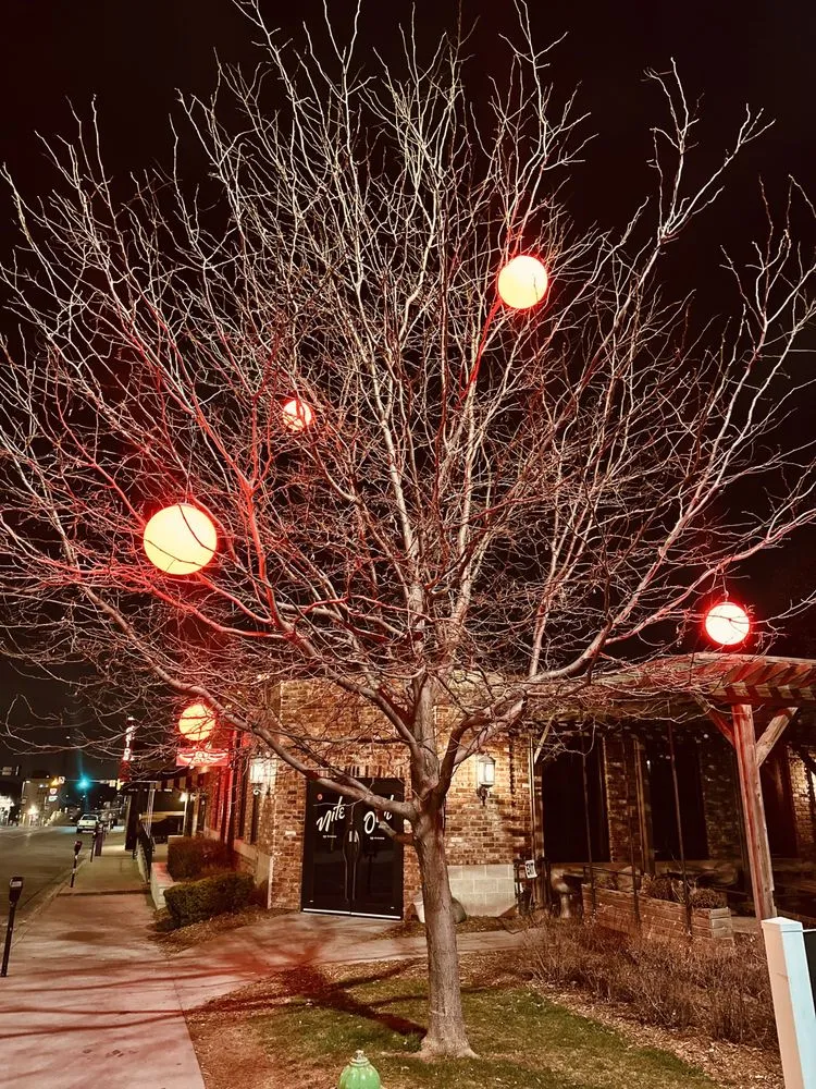 Affordable lawn care service near you across Lincoln, NE - Blingle Premier Lighting of Lincoln