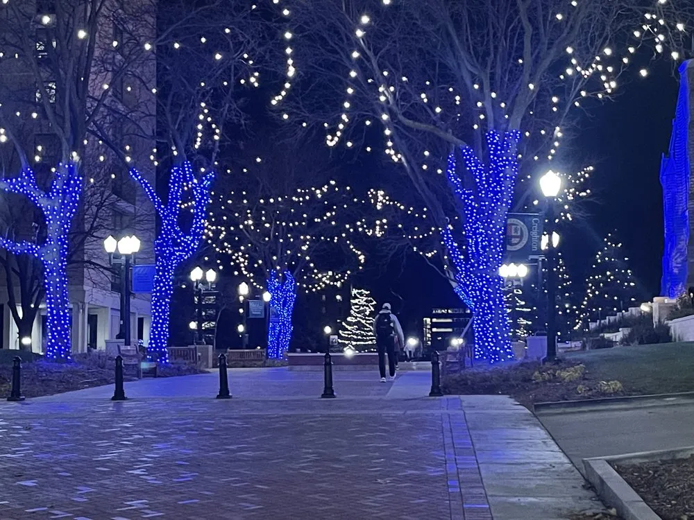 Expert yard cleanup service near you in Omaha, NE by Blingle Premier Lighting of Omaha