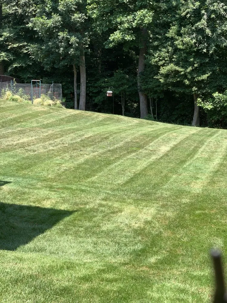 Expert landscape installation experts serving Stafford, VA - Bliss Lawn and Landscape