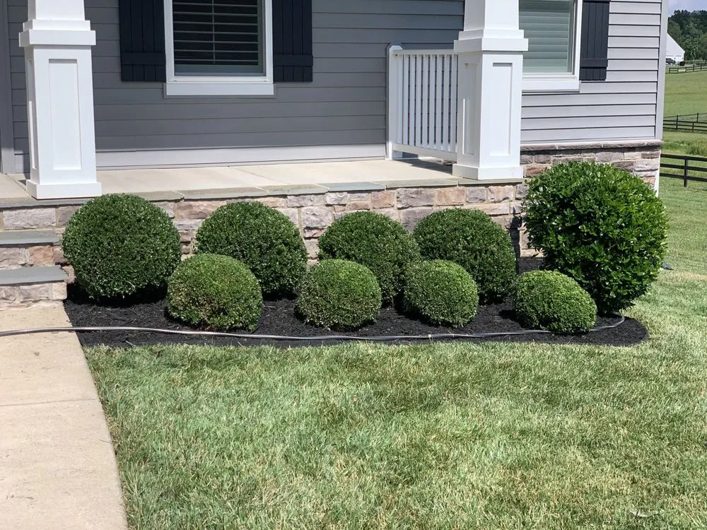 Top-rated garden landscaping experts serving Stafford, VA - Bliss Lawn and Landscape