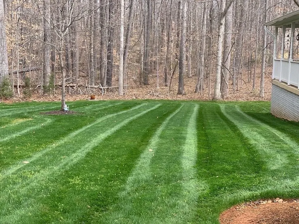 Trusted lawn mowing service for homes in Stafford, VA by Bliss Lawn and Landscape