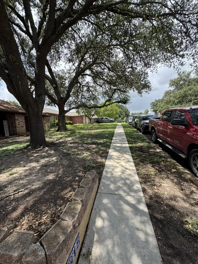 Trusted landscape design in San Antonio, TX by Bliss property services