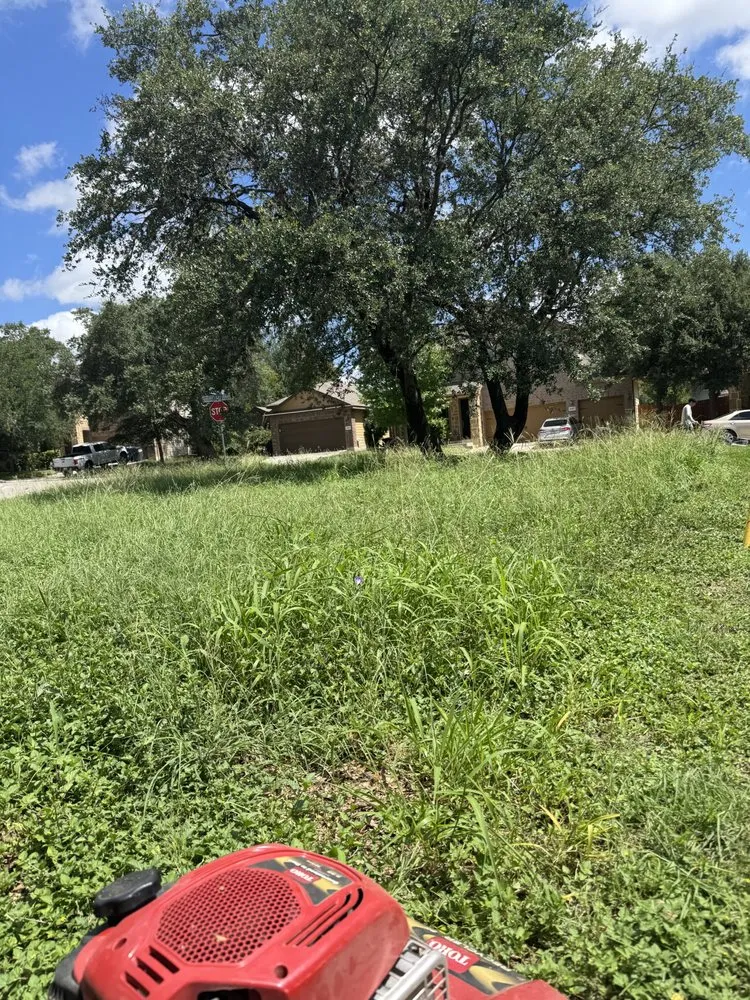 Reliable yard maintenance experts serving San Antonio, TX - Bliss property services