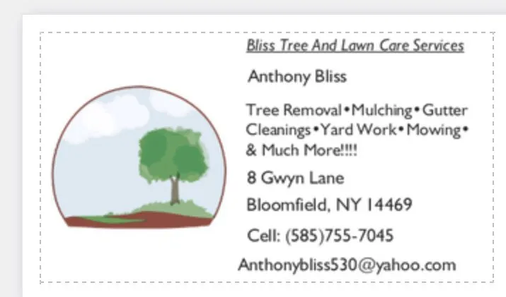 Custom lawn mowing service for residential properties across Bloomfield, NY - Bliss Tree & Lawn Maintenance