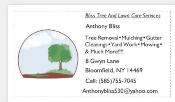 Bliss Tree & Lawn Maintenance