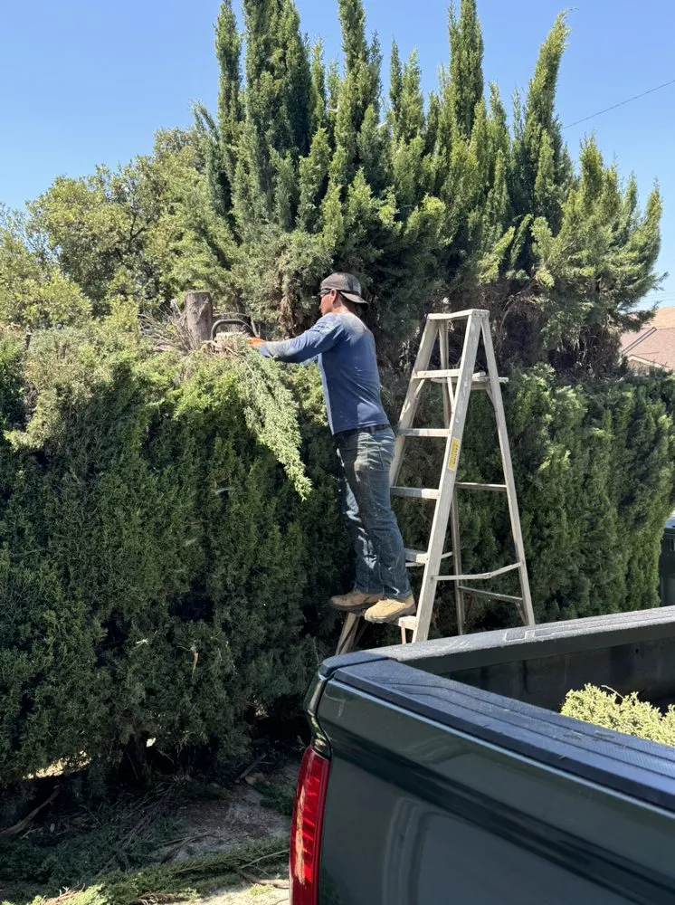 Professional lawn mowing service in Corona, CA by Blissful Bloom Landscaping& irrigation services