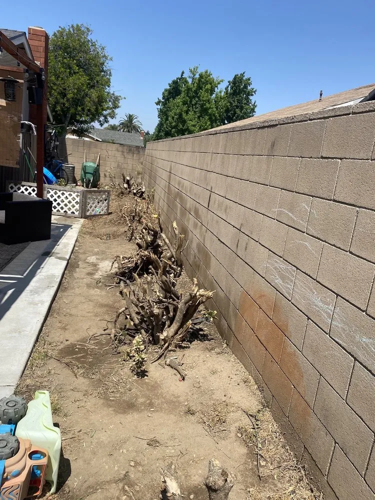 Reliable lawn care service for outdoor upgrades across Corona, CA - Blissful Bloom Landscaping& irrigation services