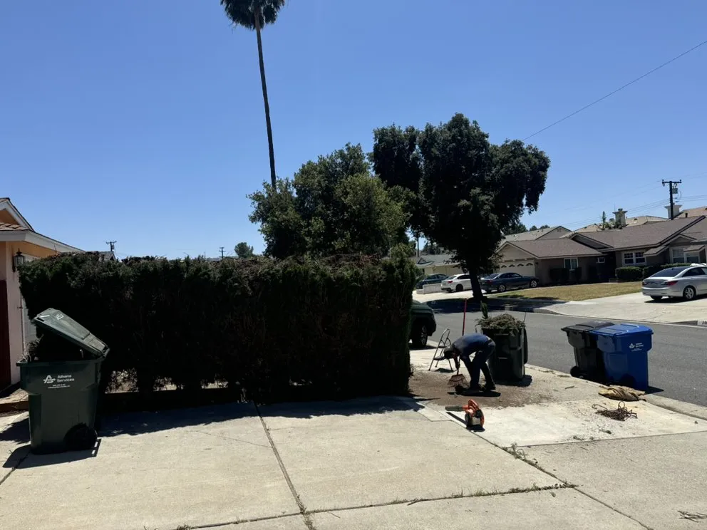 Trusted landscape design in Corona, CA by Blissful Bloom Landscaping& irrigation services