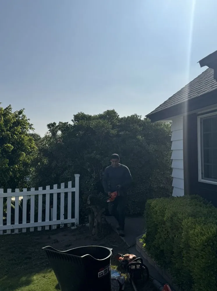 Custom landscape installation with custom design across Corona, CA - Blissful Bloom Landscaping& irrigation services