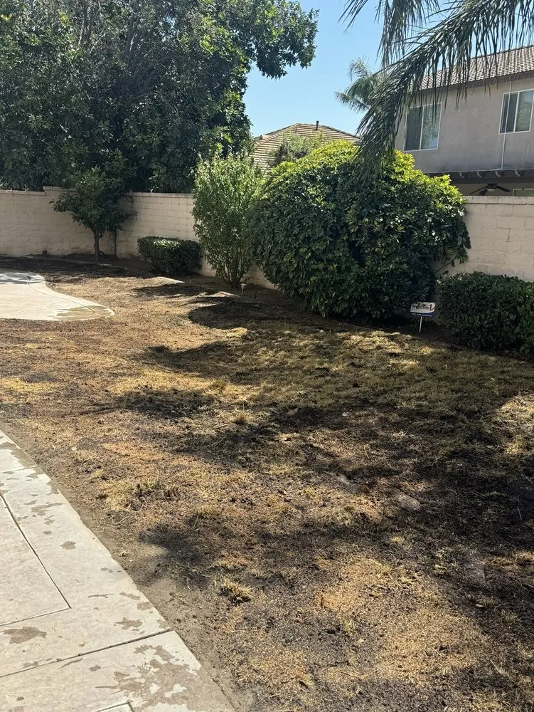 Reliable garden landscaping in Corona, CA - Blissful Bloom Landscaping& irrigation services