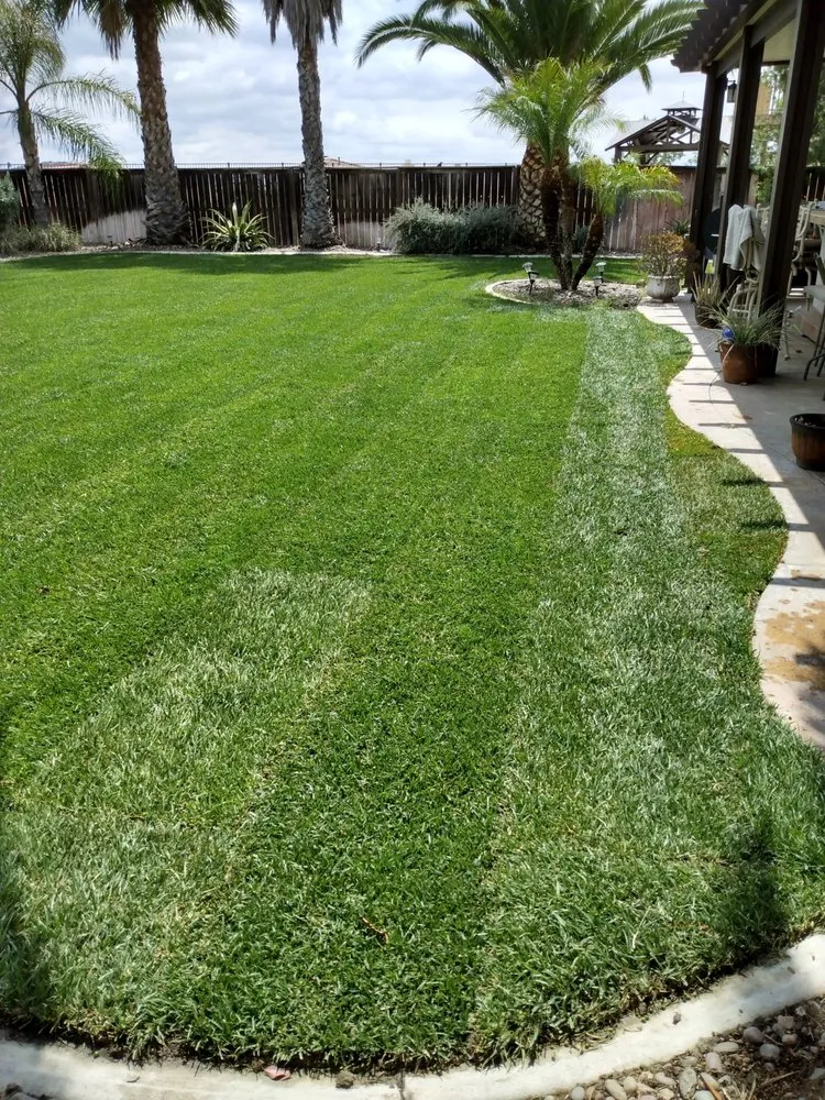 Expert yard cleanup service in Riverside, CA by Blissful Landscape