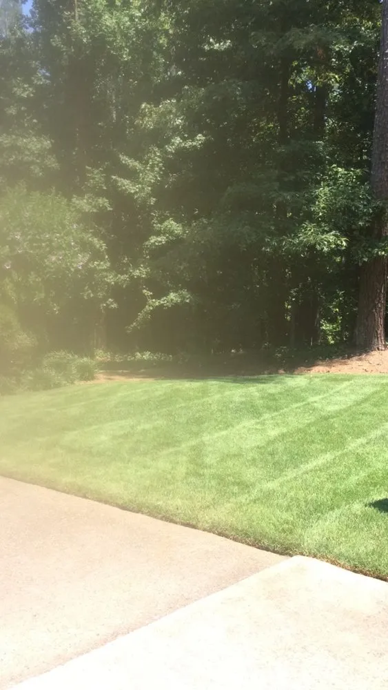 Local yard cleanup service experts serving Atlanta, GA - Blissful Lawns
