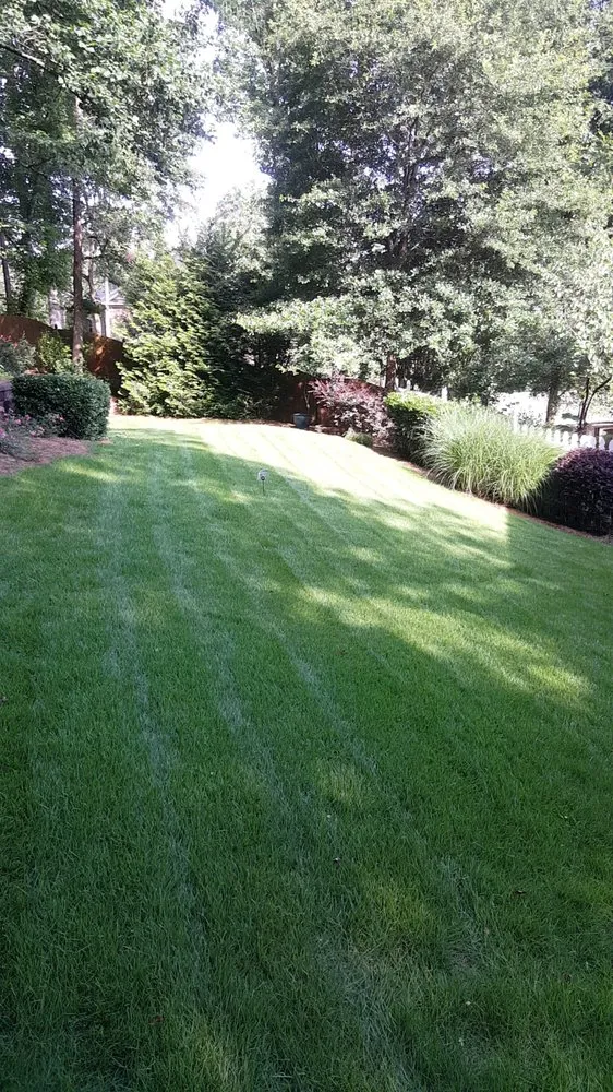 Expert lawn mowing service with custom design in Atlanta, GA by Blissful Lawns