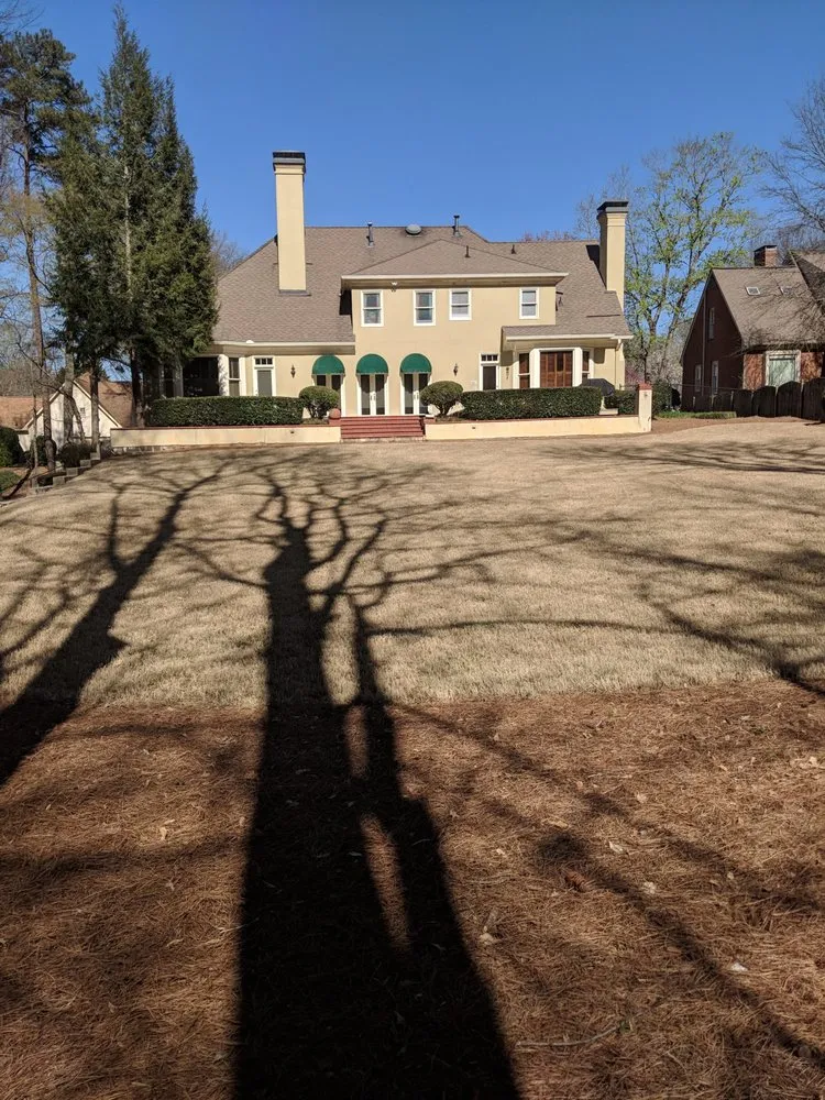 Trusted landscaping services for year-round maintenance in Atlanta, GA by Blissful Lawns