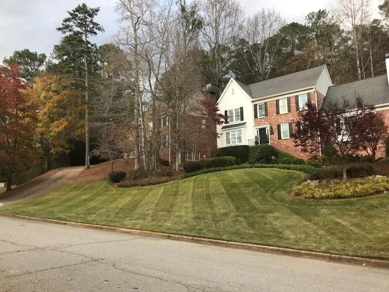 Affordable outdoor landscaping experts serving Atlanta, GA - Blissful Lawns