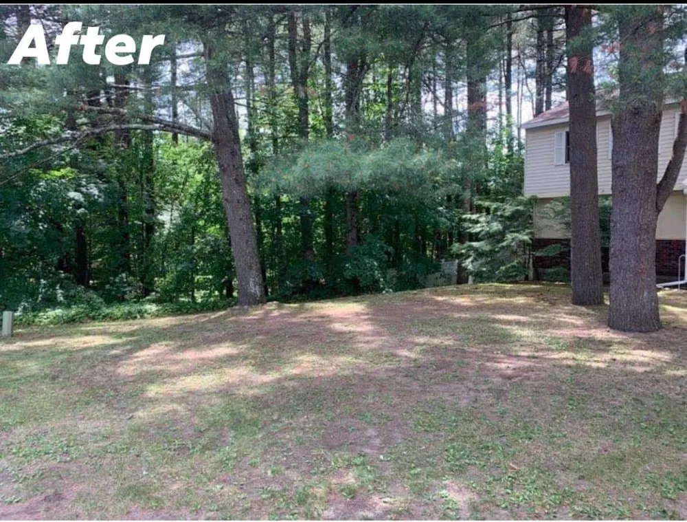 Trusted residential landscaping for residential properties in Lake George, NY by Blister Hill Lawn Services