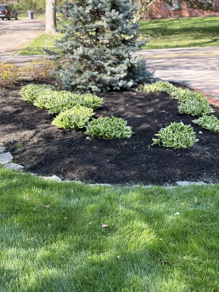 Trusted lawn care service in Indianapolis, IN - Blitz Outdoors