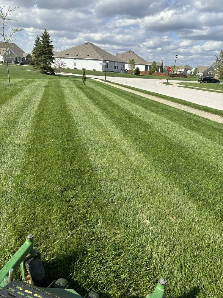 Top-rated outdoor landscaping for outdoor upgrades in Indianapolis, IN by Blitz Outdoors