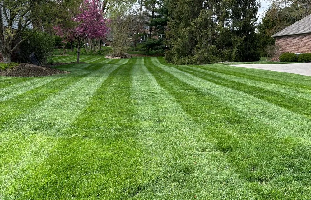 Reliable lawn mowing service with custom design across Indianapolis, IN - Blitz Outdoors
