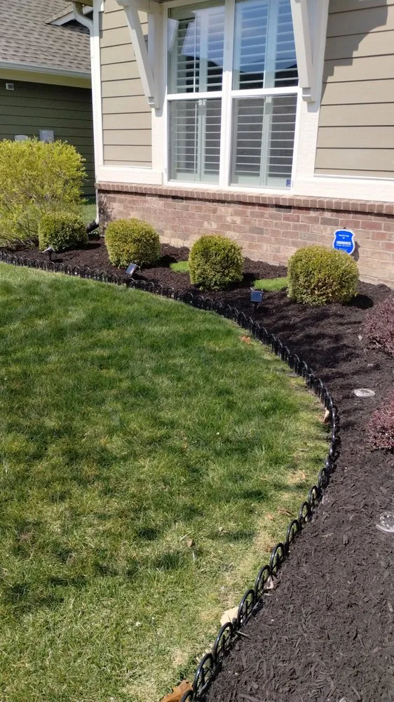 Top-rated yard maintenance in Indianapolis, IN - Blitz Outdoors
