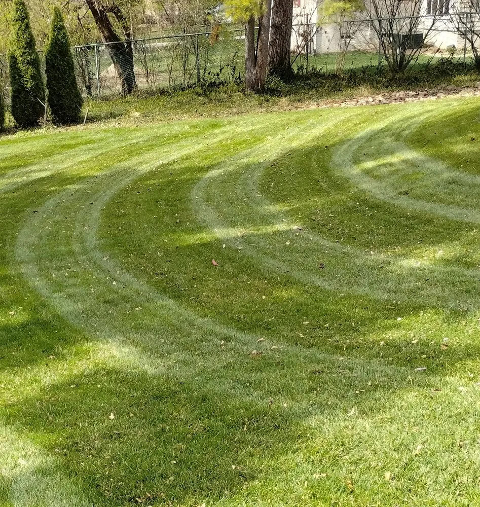 Professional yard cleanup service for homes across Indianapolis, IN - Blitz Outdoors