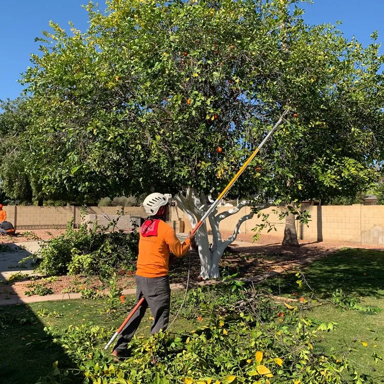 Expert landscape design in Indianapolis, IN - Blitz Outdoors