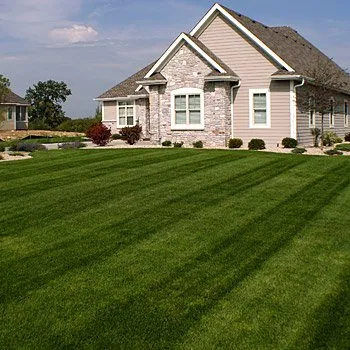 Professional landscape installation in Indianapolis, IN - Blitz Outdoors
