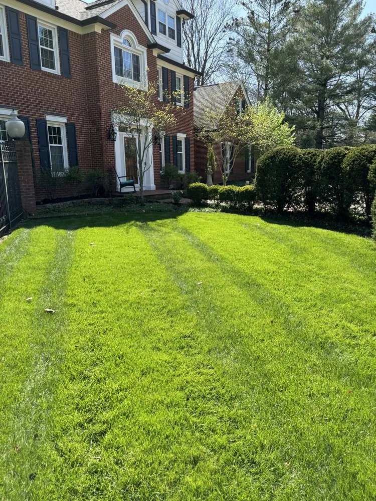 Trusted yard cleanup service in Indianapolis, IN - Blitz Outdoors