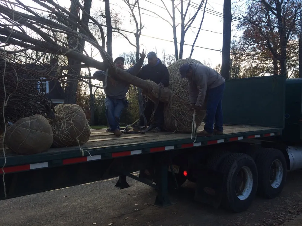 Top-rated outdoor landscaping in Summit, NJ - Blizard Landscaping