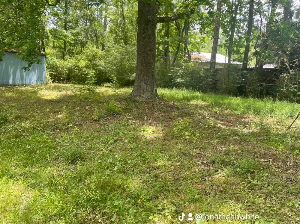 Local lawn care service for year-round maintenance in Mobile, AL by Blizzard’s Landscaping & Assembly