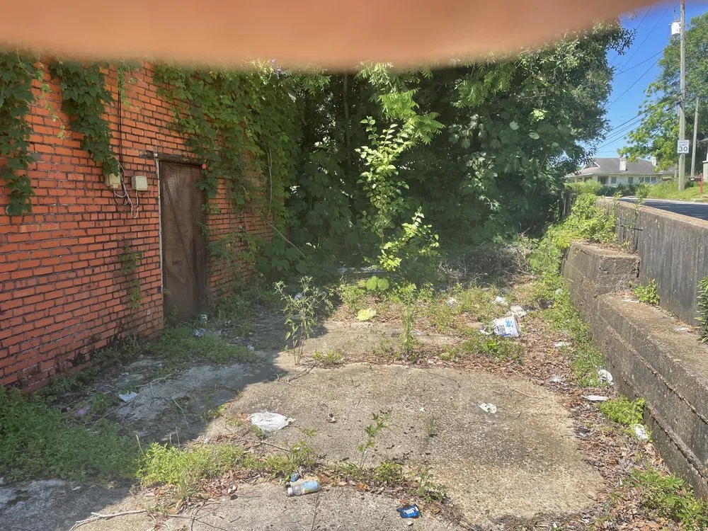 Top-rated lawn mowing service for beautiful yards across Mobile, AL - Blizzard’s Landscaping & Assembly