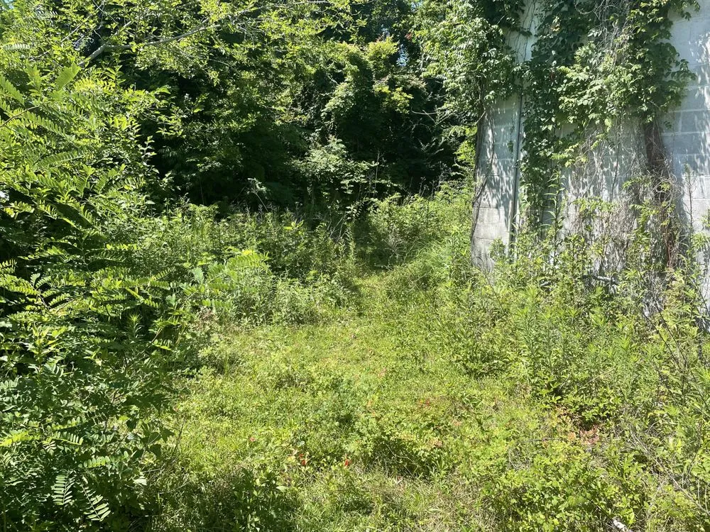 Affordable lawn mowing service for year-round maintenance in Mobile, AL by Blizzard’s Landscaping & Assembly