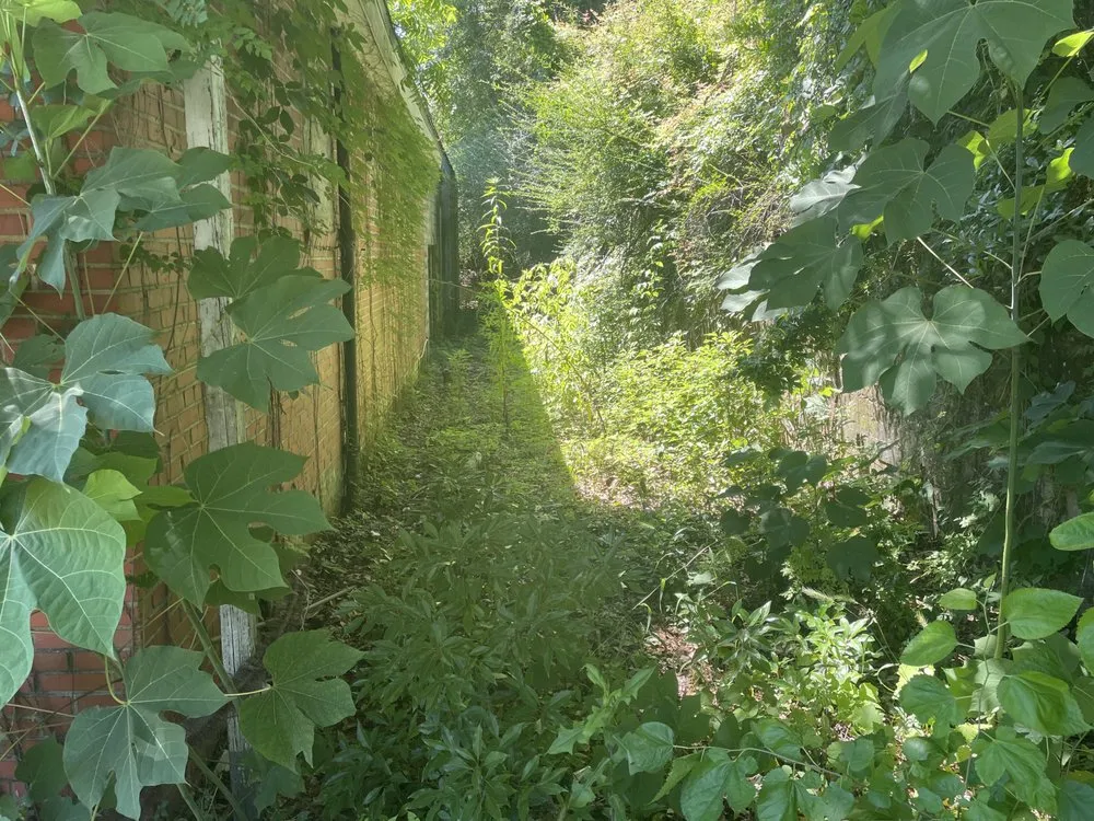 Affordable yard maintenance for residential properties across Mobile, AL - Blizzard’s Landscaping & Assembly