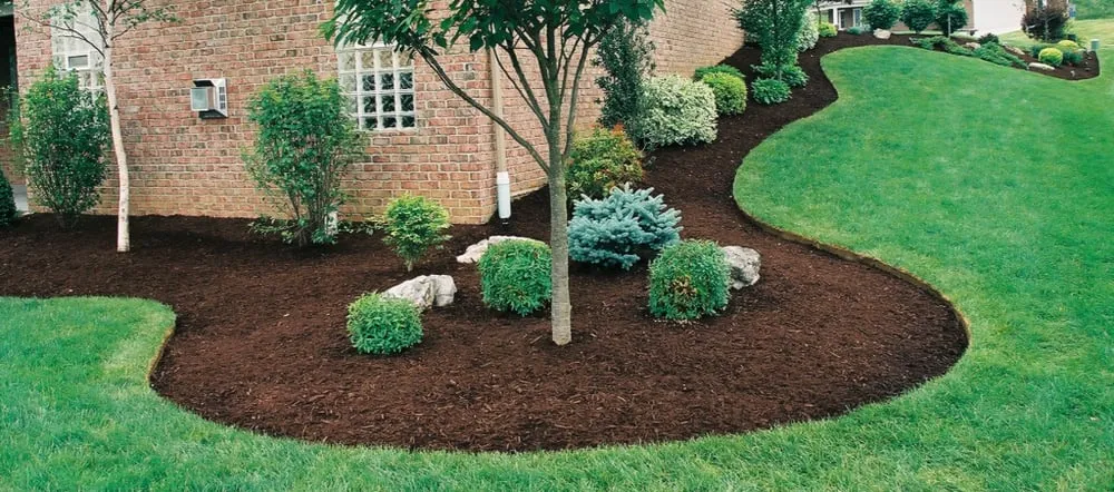 Trusted yard cleanup service with custom design in East Freetown, MA by BLK Forest Products