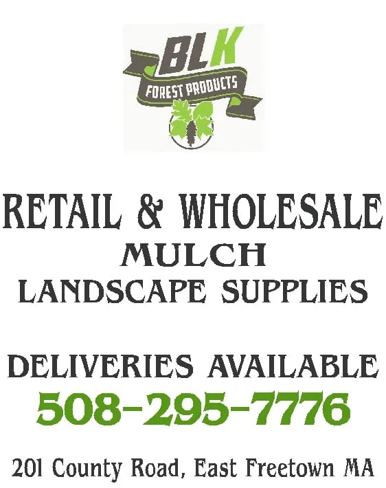Affordable yard cleanup service in East Freetown, MA by BLK Forest Products