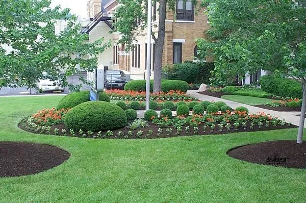 Trusted lawn mowing service near you in East Freetown, MA by BLK Forest Products