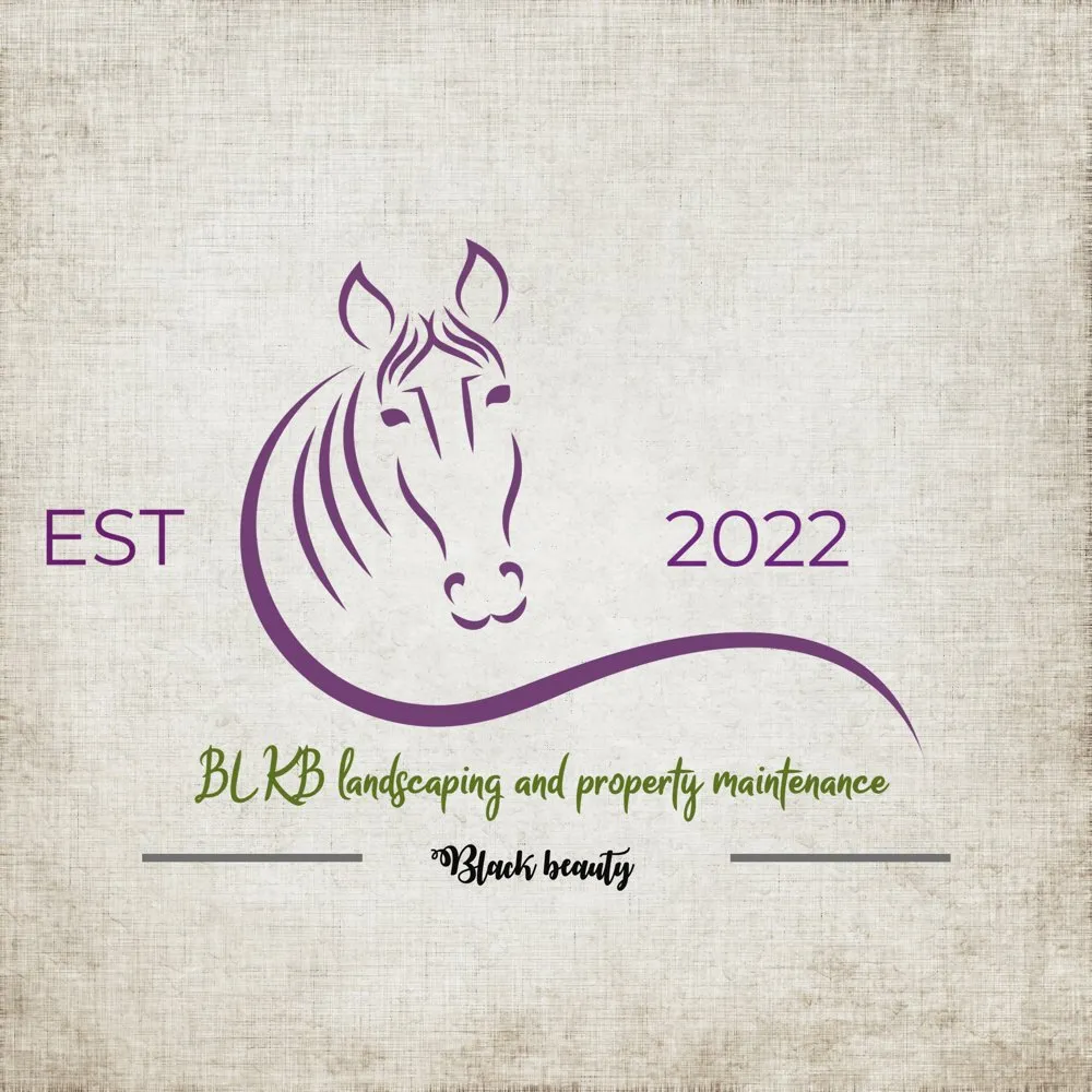 Top-rated lawn care service for year-round maintenance across Bloomingdale, NY - BLKB landscaping and property maintenance